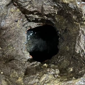 Septic Tanks